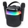 Karaokejärjestelmä Muse M-530 KA 30 W