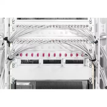 Sokkelolevy Digitus DN-19 BPN-02