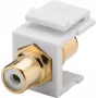 Goobay 79676 - litteä - valkoinen - RCA - RCA - liitin - liitin (79676)