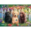 sweet puppy scene, palapeli 1000 palaa