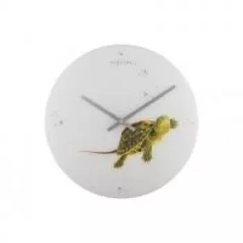 NeXtime kello 8137 Turtle, Ø43 cm, seinäkello, valkoinen/vihreä