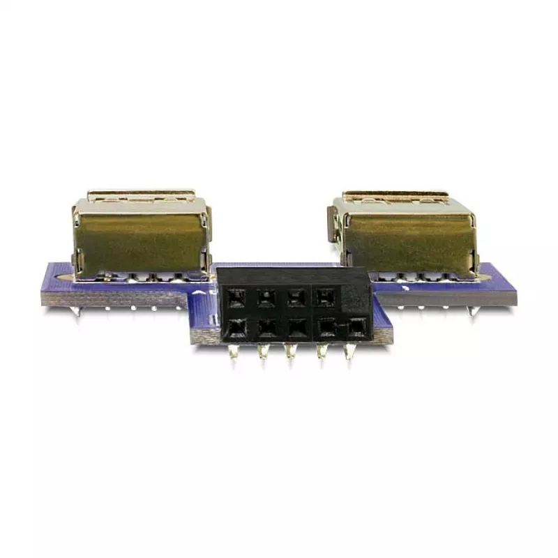 DeLOCK 9-napainen 2,54 mm 2 x USB 2.0 1 x 9-napainen 2,54 mm musta sininen hopea