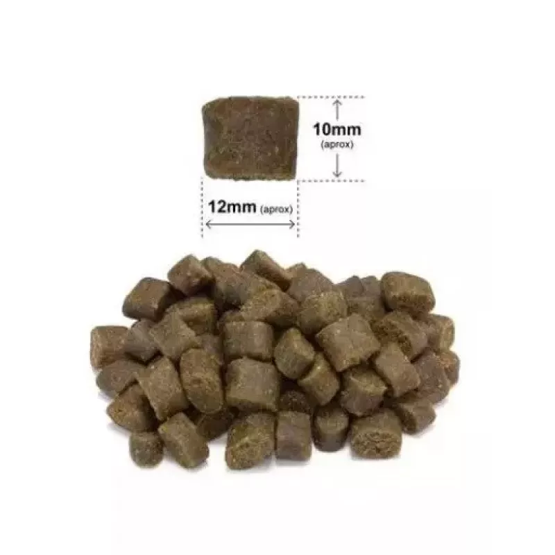ARQUIVET Fresh lohi ja kalkkuna - puolikostea koiranruoka - 2,5 kg