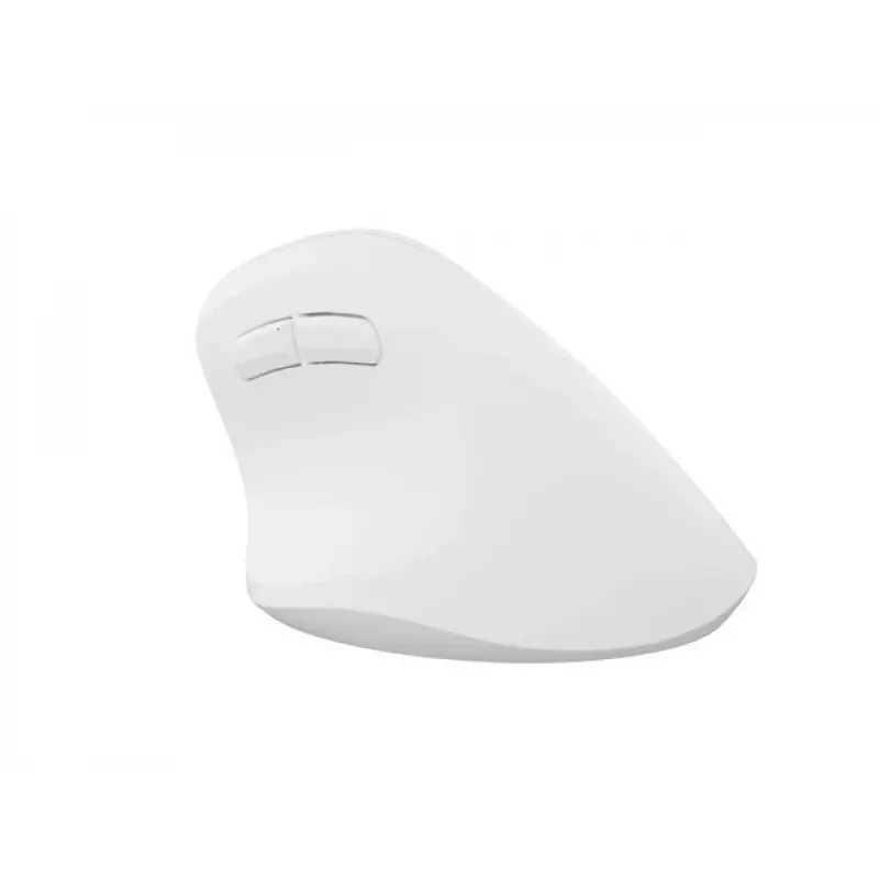 NATEC Crake 2 -hiiri, yleismalli, oikeakätisille, RF Wireless + Bluetooth, optinen, 2400 DPI