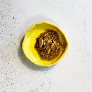 Ollo tonnikala merilevä liemessä nro 8 70 g