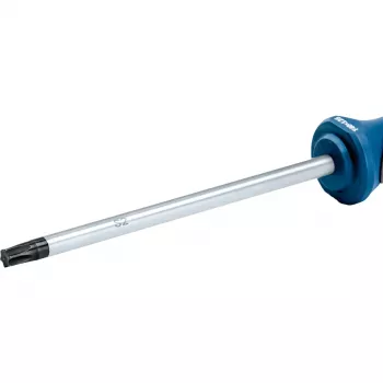 Ruuvimeisseli Bosch TX 40 x 125 mm 1600A01V0F Torx-ruuvimeisseli, kärki TX40, 125 mm varsi