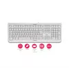 CHERRY KC 1000 näppäimistö kotiin USB sveitsiläinen asettelu harmaa