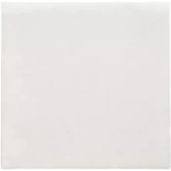 PAPSTAR lautasliinat Daily Collection valkoinen 2-kerroksinen 16,0 x 16,0 cm 150 kpl (89636)