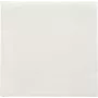 PAPSTAR lautasliinat Daily Collection valkoinen 2-kerroksinen 16,0 x 16,0 cm 150 kpl (89636)