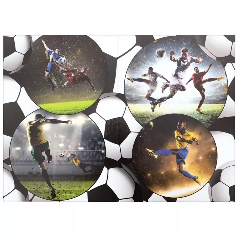 Paperikori HERMA Football 19739