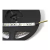 Synergy 21 LED Flex Strip 3528 - 120 DW (CCT) DC12V 48W per väri IP20
