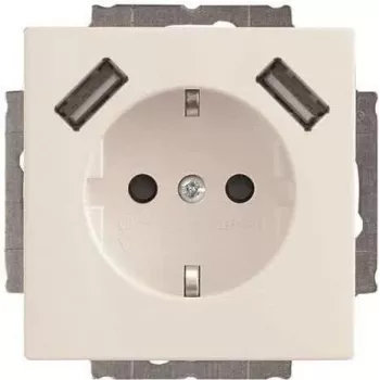 Busch-Jaeger SCHUKO-2x USB -pistorasia 20 EUCB2USB-84 (2CKA002011A6273)