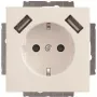 Busch-Jaeger SCHUKO-2x USB -pistorasia 20 EUCB2USB-84 (2CKA002011A6273)