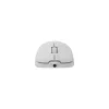 Hiiri White Shark GM-5014 Graphene valkoinen USB