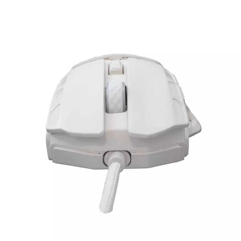 Hiiri White Shark GM-5016 Ector valkoinen USB