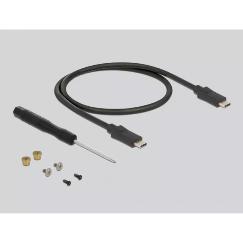 SSD-kotelo DeLOCK 42003 ulkoinen kotelo M.2 SATA SSD:lle USB Type-C