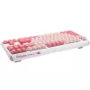 Ducky One 3 TKL -näppäimistö pelikäyttöön USB QWERTY englanti pinkki