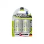 Paristo Ansmann blister 2 x akku NiMH Mono/D 5000 mAh