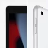 Tabletti Apple iPad 10,2 tuuman A13 64 GB iPadOS 15