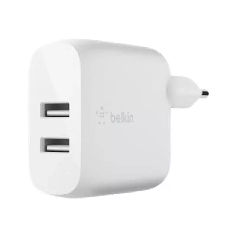 Mobiililaitelaturi Belkin WCE001VF1MWH
