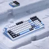 VGN V98 Pro pelinäppäimistö, Arctic Fox - rajoitettu erä (US)