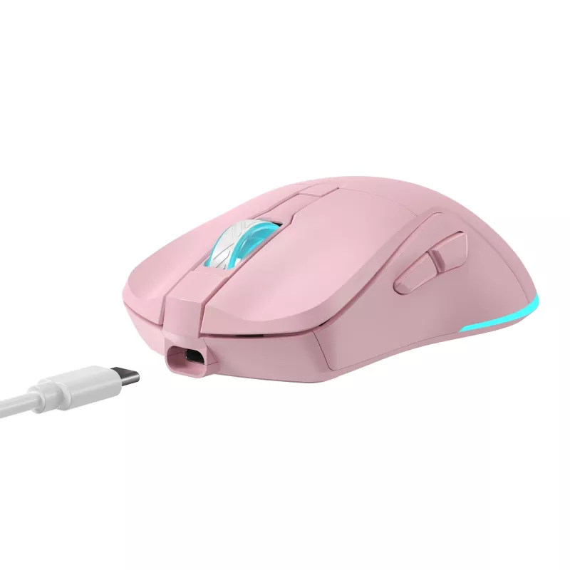 Baracuda BGM-124 Turtle -hiiri pinkki TURTLE-P