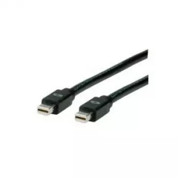 ROLINE DisplayPort-kaapeli, Mini DP uros – Mini DP uros 2,0 m (11.04.5640)