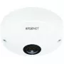 IP-turvakamera Hanwha QNF-8010 dome 2048 x 2048 pikseliä