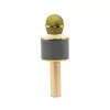 MANTA MIC10-G Gold langaton Bluetooth-karaokemikrofoni kaiuttimella