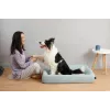 Pesä lemmikkisänky PETKIT Four - M kissoille ja pienille koirille, sisäkäyttöön, 1 kpl