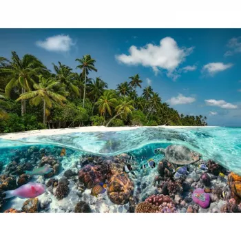 Palapeli Ein Dive in the Maldives (2000 palaa)
