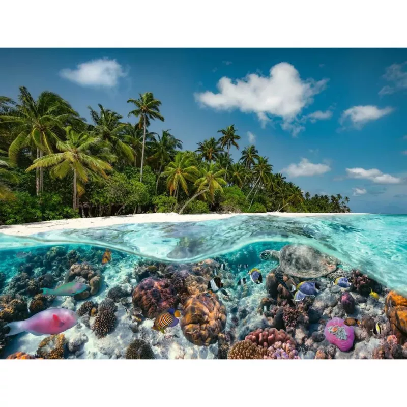 Palapeli Ein Dive in the Maldives (2000 palaa)