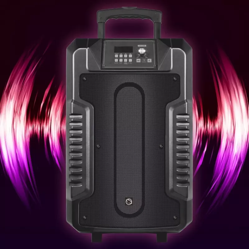 Kaiutin Manta SPK1203B100 100 W