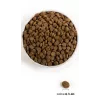 ACANA Highest Protein Pacifica - kuivaruoka koirille - 11,4 kg