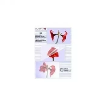 Laminaattikalvot Olympia 1x100 DIN A5 125 mikronia