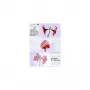 Laminaattikalvot Olympia 1x100 DIN A5 125 mikronia