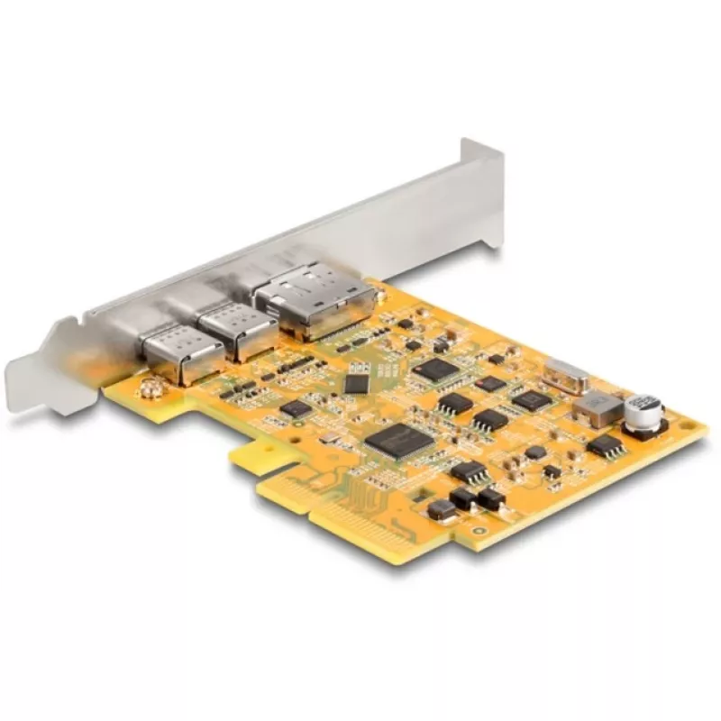 PCI Express x4 -kortti DeLOCK 90161