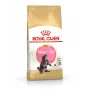 ROYAL CANIN Maine Coon Kitten - kuivaruoka kissoille - 4 kg