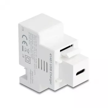 DELOCK Keystone-moduuli USB-C PD 20W latausliitännällä, valkoinen