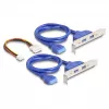 DeLOCK 61066 sisäinen USB 3.2 Gen 1 -sovitin M.2 pistoke musta