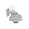 Verkkokameran lisävaruste lintujen karkotus/SPIKES 10 kpl 5801-121 Axis