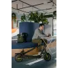Classic scooter Ninebot by Segway KickScooter MAX G2 D