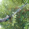 Makita UH007GZ XGT akkukäyttöinen pensasleikkuri, 40 V, 75 cm, 25 mm leikkuupaksuus, sinimusta, ilman akkua ja laturia