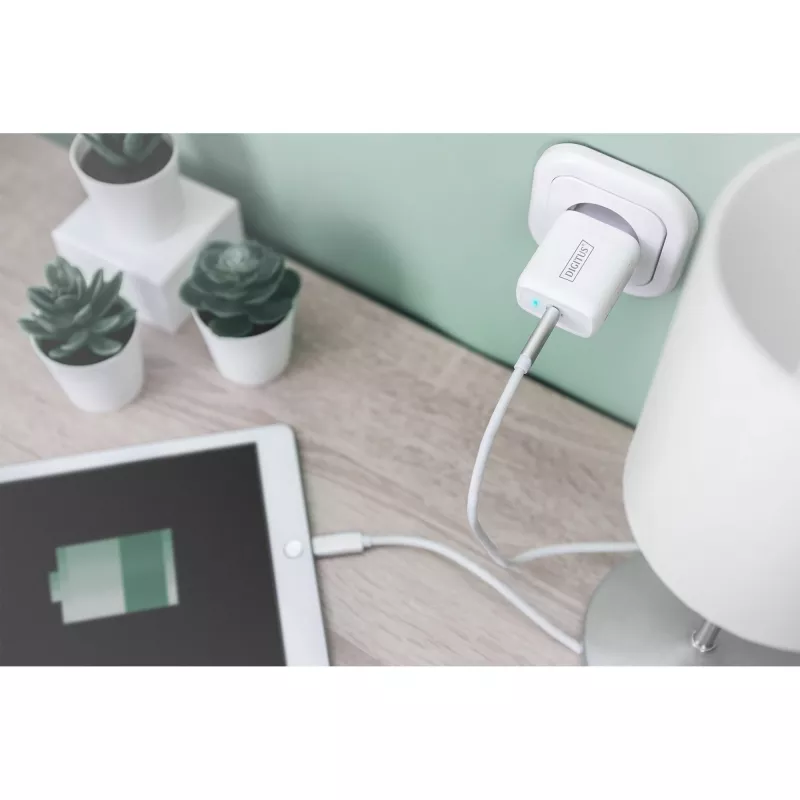 Digitus - verkkolaite - 20 wattia - 3 A - PD 3.0 (USB-C) - valkoinen (DA-10196)