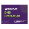 Webroot | DNS Protection with GSM Console | 2 vuosi | lisenssimäärä 10-99 käyttäjää