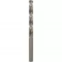 Bosch 2608595066 poranterä