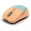 Cian Technology GmbH INCA hiiri IWM-511RT Bluetooth+langaton RGB perusväri oranssi