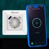 Älykäs WLAN-seinäpistoke Tellur TLL331531 – 3600 W 16 A, WLAN-kaukosäätö