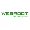 Webroot | DNS Protection with GSM Console | 2 vuosi | lisenssimäärä 10-99 käyttäjää