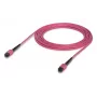 Kuitukaapeli MPO Ubiquiti UACC-OFC-MA-MPMP-5M 5 m OM4